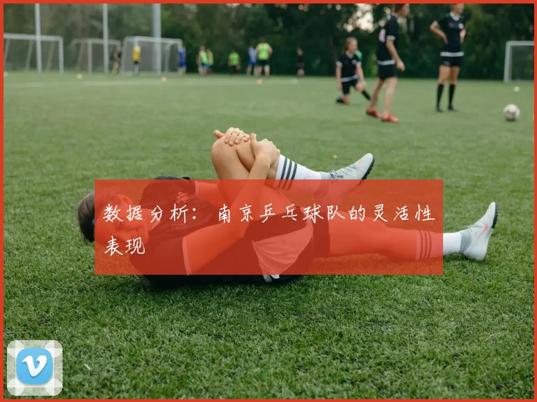 数据分析：南京乒乓球队的灵活性表现