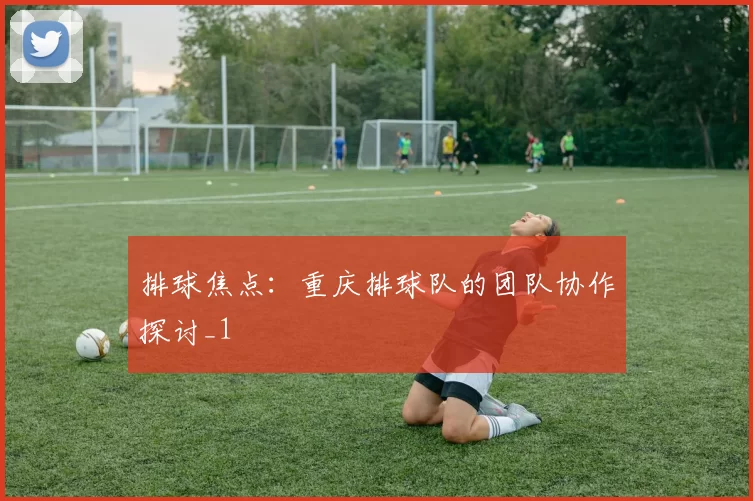 排球焦点：重庆排球队的团队协作探讨_1