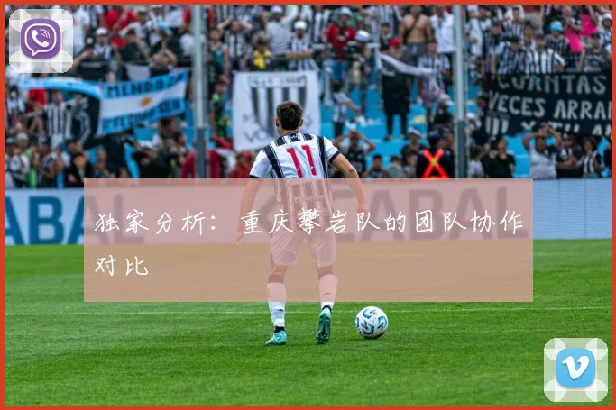 独家分析：重庆攀岩队的团队协作对比