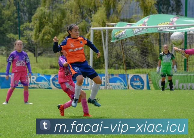 乐鱼体育平台生态图