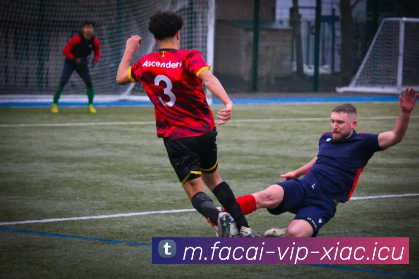 乐鱼体育APP 封面图